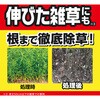 - 草退治ストロングシャワー KINCHO園芸(旧:住友化学園芸) 70919138