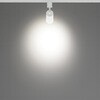 SPL08C01WH LED�X�|�b�g���C�g YAZAWA(���U���R�[�|���[�V����) 70996716