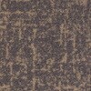 チップ画像
