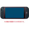 GAF-SW2GS SWITCH 2用ガラス/指紋防止 ナカバヤシ 71002271