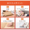 EA897CW-25 ヒートクッション (USBポート/3WAY) エスコ 71012719