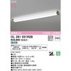 OL291031R2B uPbgCg 񒲐F ODELIC(I[fbN) 71017687