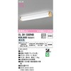 OL291030R4B ブラケットライト 非調色 ODELIC(オーデリック) 71017809