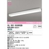 XL551533R2B 直付型ベースライト40形 反射笠付2灯用 非調光 ODELIC(オーデリック) 71055724