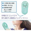 HANDY-FAN ハンディファン ブロードウォッチ 71162684