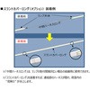 LEDLLCVL LEDCCgEXgJo[O() KOITO(쏊) 71253754