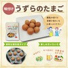 - 味付けうずらのたまご 一榮食品 71369028