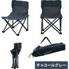 P-MINI(CG) アウトドアチェア ミニ 収納ケース付き YAMAZEN(山善) 71372808