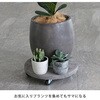 TR360WHT セメント製キャスター付きプランターキャリー36cm 住まいスタイル 71373018