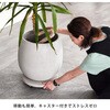TR360WHT セメント製キャスター付きプランターキャリー36cm 住まいスタイル 71373018