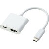 USB-C to HDMI�ϊ��A�_�v�^ 4K30Hz(PD100W)