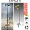 SLB-SK100 スタジアムライト LED 低電圧 最大10000lm 軽量 ケース付き YAMAZEN(山善) 71710820