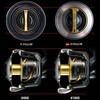 30000PG(047625) ステラSW SHIMANO(シマノ) 71821709