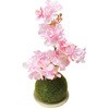 苔玉桜アレンジ 高さ22cm (造花) ストア・エキスプレス