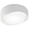 NWCF18125LE1 天井直付型 壁直付型 LED 階段灯 シーリング ブラケット兼用型 【受注生産品】 Panasonic(パナソニック) 71993376
