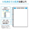 G49240 広い間口で出し入れしやすいクリヤーポケット50枚パック  A4・30穴 リヒトラブ 71995178