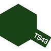 72079482