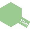 72079954