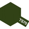 72080173