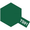 72080828