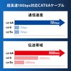 KB-T6AY-10P LANケーブル CAT6A サンワサプライ 72106180