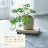 403834 キャスター付き台車 ラクゴロ サンコープラスチック 72117495