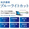 TBF-SFP25FLKBC SurfacePro12インチ用フィルム/光沢・透明ブルーライト ナカバヤシ 72124380
