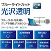 TBF-SFP22FLKBC Surface Pro 9用フィルム/ブルーライトカット・光沢透明 ナカバヤシ 72124425