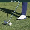 GV0479 タバタゴルフ プラスリムショートティー Tabata GOLF タバタ(Tabata) 72140927
