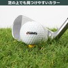GV8002 タバタゴルフ プラスリム ショートティーセット Tabata GOLF タバタ(Tabata) 72141241