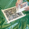 - 砂利を固める水性接着剤 アサヒペン 72168349
