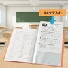 FC-122GA(84896) 年組氏名クリアーファイル FF 20P PLUS(プラス)[文具] 72168620