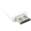 SMCM-TCFW MicroUSB(オス) - Type-C(メス)コネクタ エスエスエーサービス 72190855