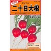 種 はつか大根