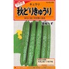 【タネ】秋どりきゅうり 霜知らず カネコ種苗