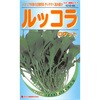 種 ルッコラ