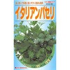 パセリ