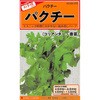 バジル 種