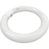 VITE-LITE 22W���R���u���� �I�[�c�J���w 72347888