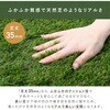 YAA5A-35120P(GR) 人工芝 芝丈35mm ロール 芝生 YAMAZEN(山善) 72625887