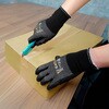 ー EZ CATCH3双入 ミタニコーポレーション 72626255