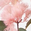 FM000222-002 X[Nc[Xv[ MAGIQ() 72775064