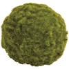 苔玉 苔