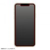 iPhone 13 mini ガラス 防埃 10H光沢 レイ・アウト