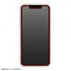 iPhone 13 mini ガラス 防埃 10HBLC 光沢 レイ・アウト