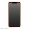 RT-P31F/DK iPhone 13 / 13 Pro tB Ռz BLC ˖h~ RECX CEAEg 72789895