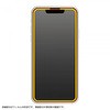 iPhone 13 / 13 Pro ガラス 10H全面保護 反射防止/ブラック レイ・アウト