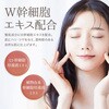 5294 ELLe Vie UVフェイスパウダー ルースタイプ W幹細胞エキス配合 SPF30 PA+++ UVカット テカリ防止 くすみケア ミラー&パフ付き 日本製 ELLe Vie 72829596