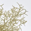 FG002274 スパニッシュモスブッシュ MAGIQ(東京堂) 72889410