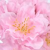 FM005467 あおい桜ピック MAGIQ(東京堂) 72892621